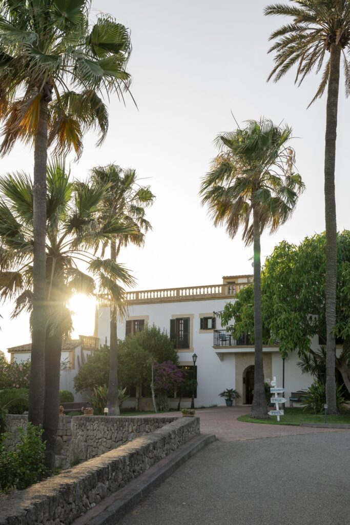 Palm trees and a beautiful house at sunset