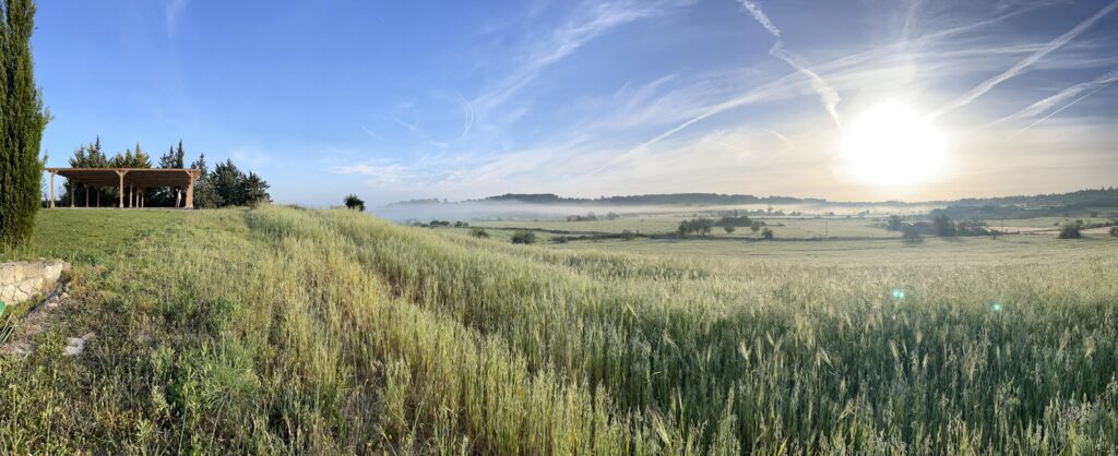 Landscape with sunrise and fog