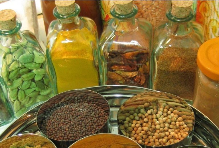 Ayurveda kennenlernen