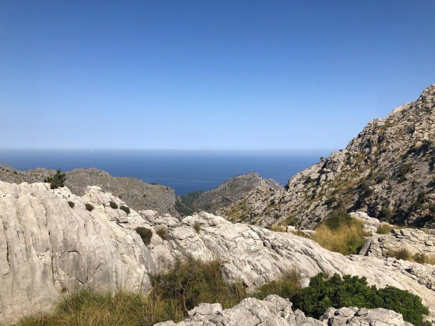 Mallorca Urlaub in Corona Zeiten – Lokalaugenschein
