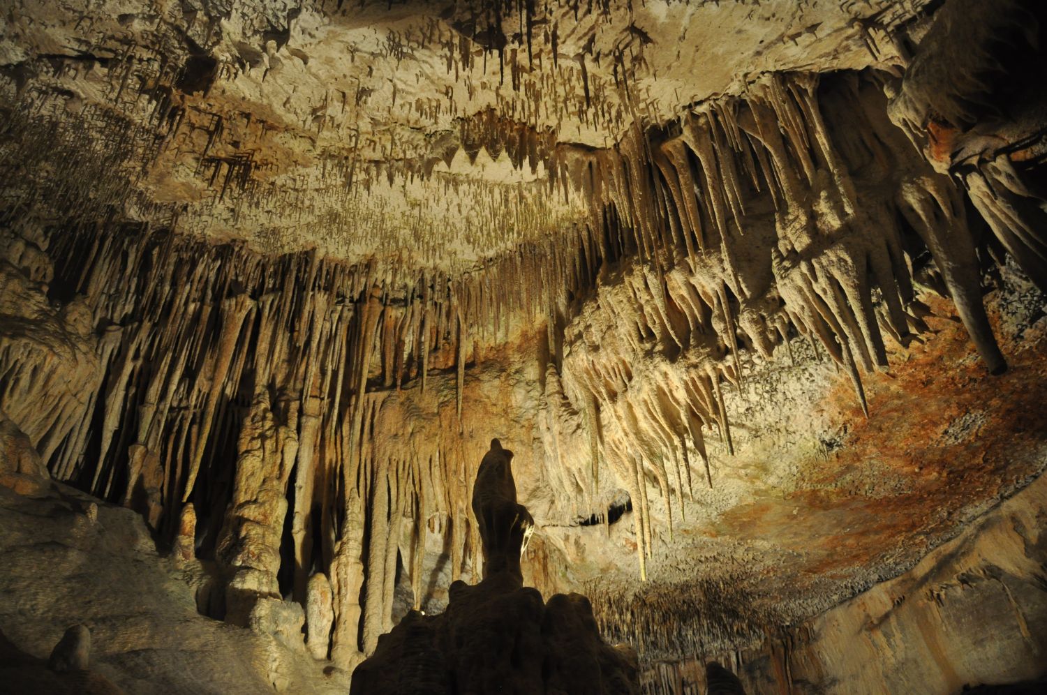 Tropfsteinhöhle Manacor
