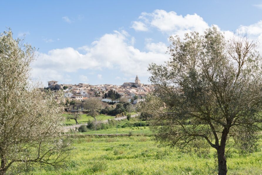Mallorca authentisch erleben: Rückzugsorte jenseits des Trubels